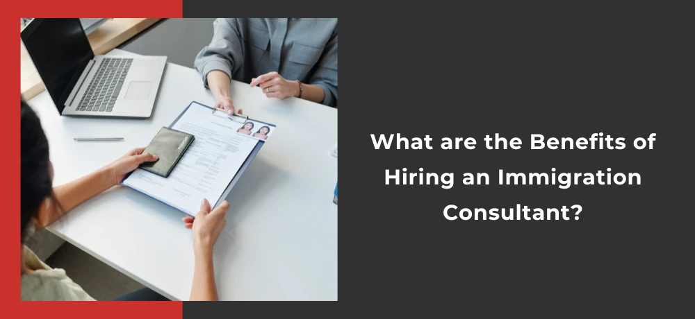 What are the Benefits of Hiring an Immigration Consultant?